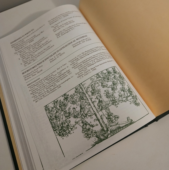 Our Family Tree Vintage Blank Genealogy Book - Picture 4 of 9